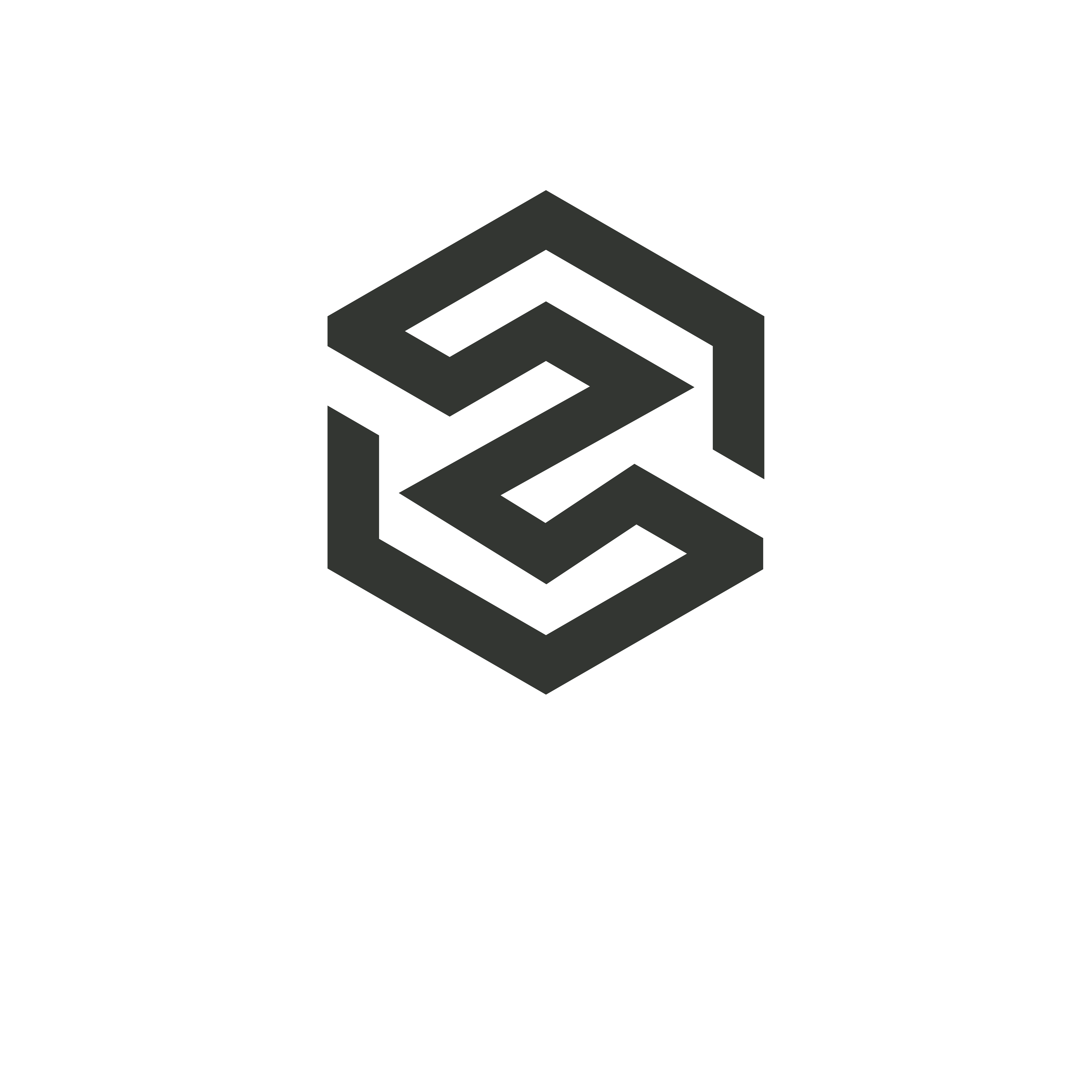 المرحلة الأولى من تطور شعار SYNQ